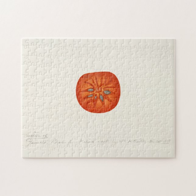Puzzle Persimmon (Diospyros) Peinture à l'aquarelle de fr (Horizontal)