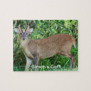 Puzzle personnalisé de cerf Muntjac sauvage