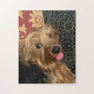 Puzzle Personnaliser Photo Famille Bébé Animaux Animaux V