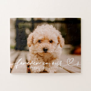 Puzzle Pet Memorial Forever Hearts Simple Photo moderne