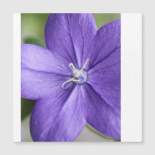 "Puzzle Pétal Violet - Sérénité dans chaque pièce"