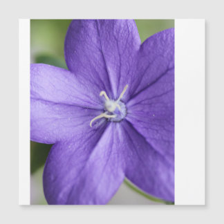 "Puzzle Pétal Violet - Sérénité dans chaque pièce"