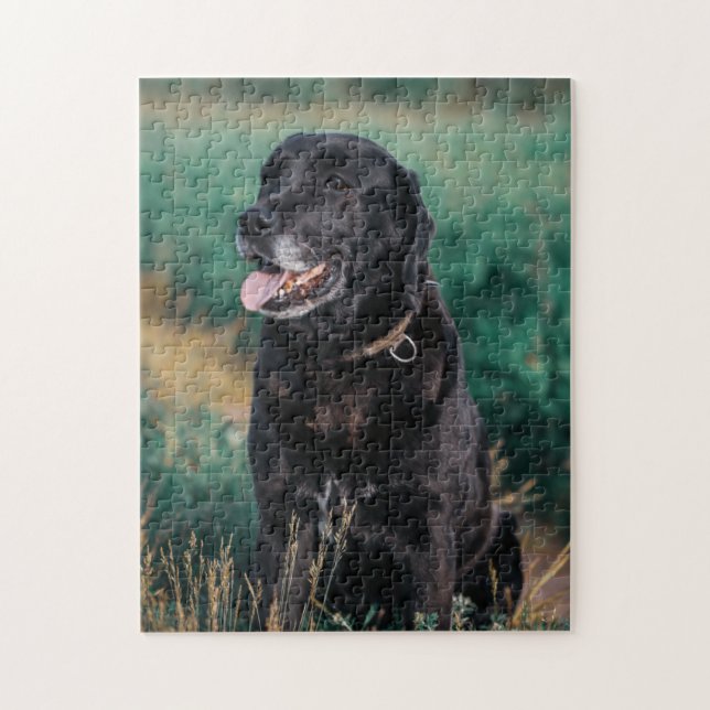 Puzzle Petit animal de compagnie de Chien Noir du Labrado (Vertical)