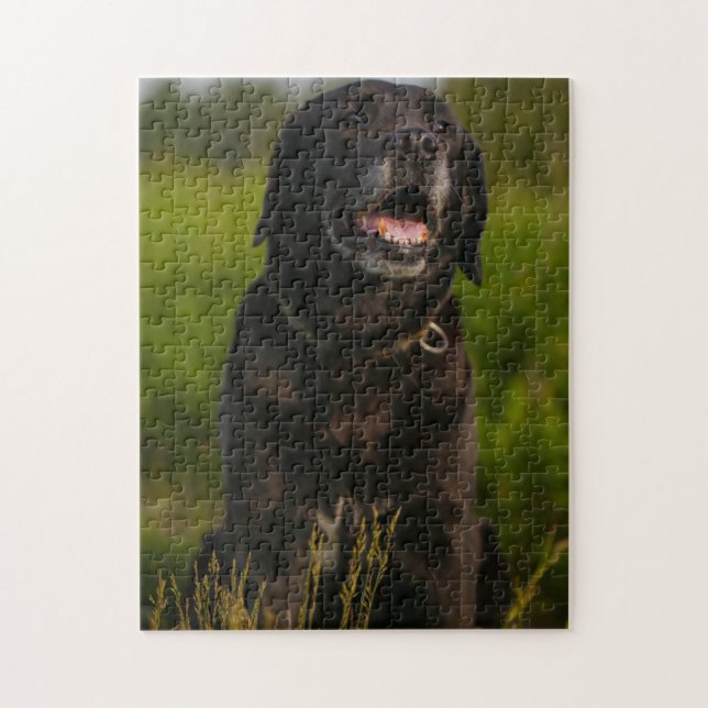 Puzzle Petit animal de compagnie de Chien Noir du Labrado (Vertical)