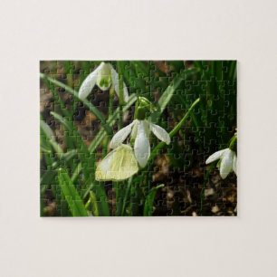 Puzzle Petit blanc et perce-neige