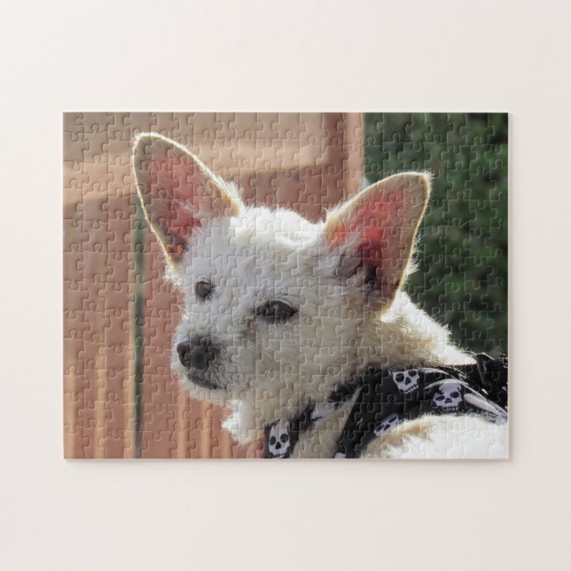 Puzzle - Petit chien blanc (Horizontal)