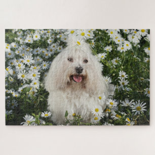 Puzzle Petit Chien blanc assis Jardin de fleurs blanches