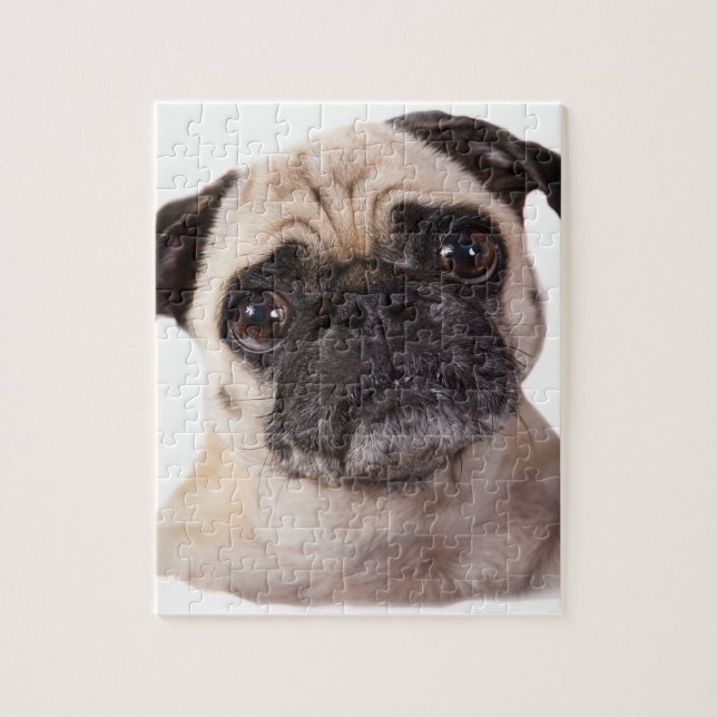 Puzzle petit chien mignon de carlin (Vertical)