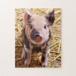 Puzzle Petit cochon
