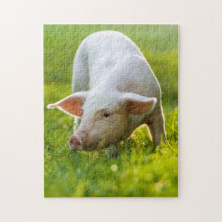 Puzzle Petit cochon mignon