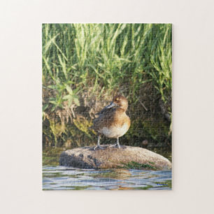 Puzzle Petit Fuligule debout sur un rocher B18
