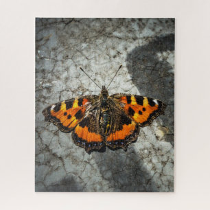 Puzzle Petit papillon Tortoiseshel