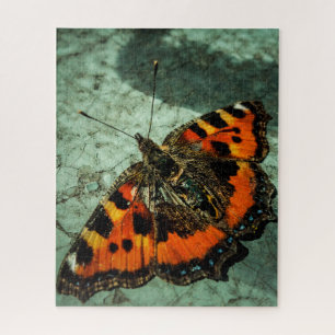 Puzzle Petit papillon Tortoiseshell