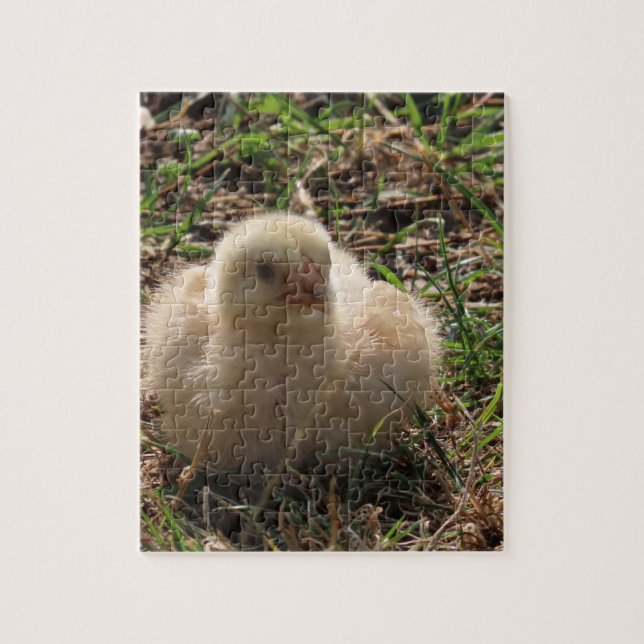 Puzzle petit poulet chick animal, ferme (Vertical)