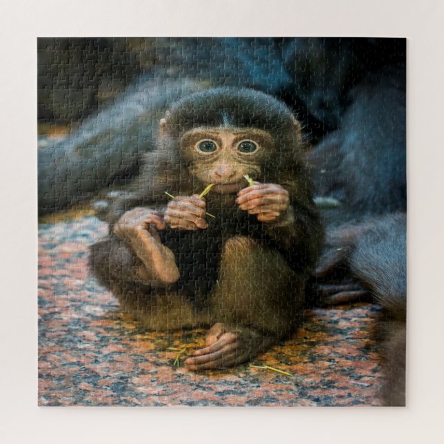Puzzle Petit singe idiot (Vertical)