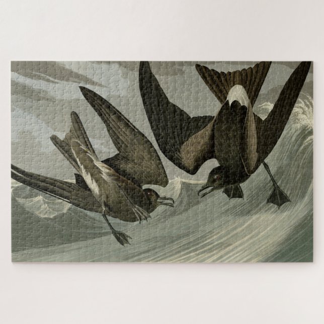 Puzzle Petit tonneau à queue fourche d'Audubon's Birds of (Horizontal)