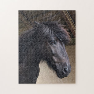 Puzzle Petit Viking Cheval Noble Tête Jigsaw