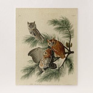 Puzzle Petite chouette à cris des oiseaux d'Amérique d'Au