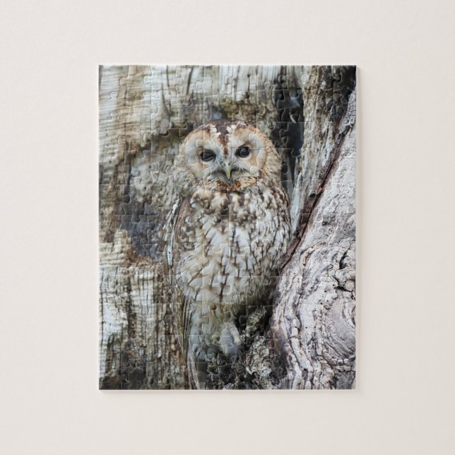 Puzzle Petite Chouette de Camouflage dans l'arbre (Vertical)