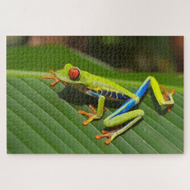 Puzzle Petite grenouille colorée (Horizontal)