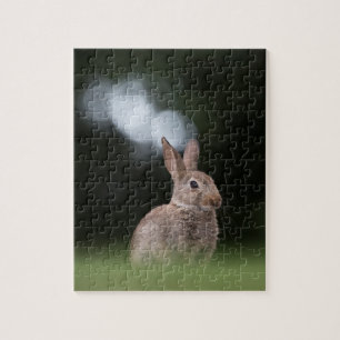 Puzzle Petite photo de nature de lapin