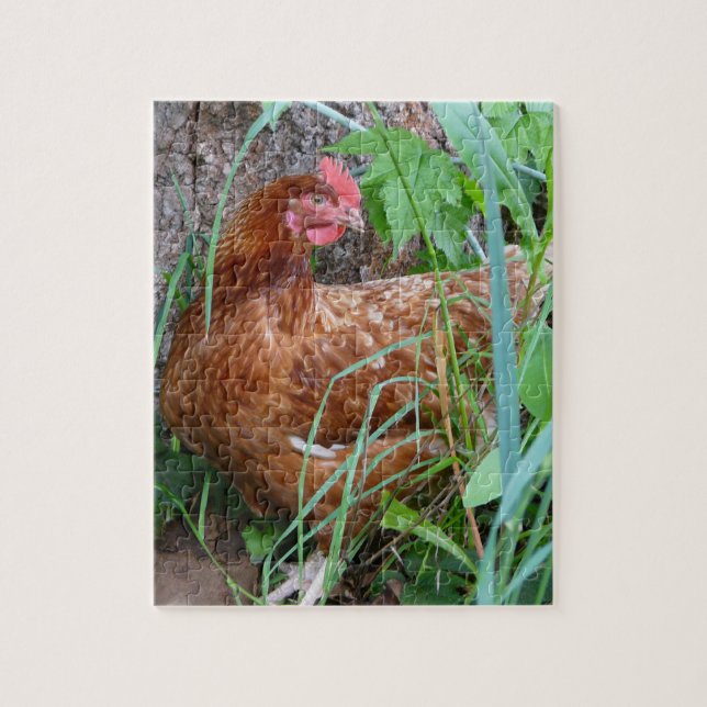 Puzzle Petite poule rouge dans l'herbe (Vertical)