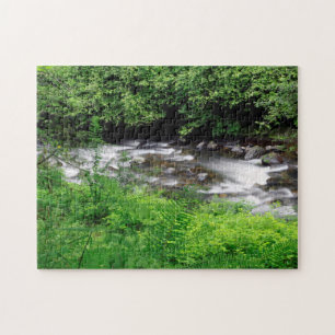 Puzzle Petite rivière Sandy et fougères