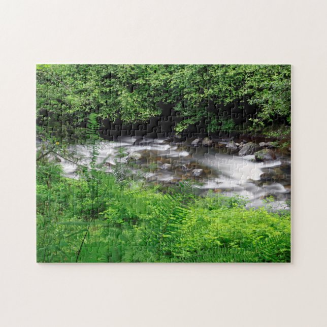 Puzzle Petite rivière Sandy et fougères (Horizontal)