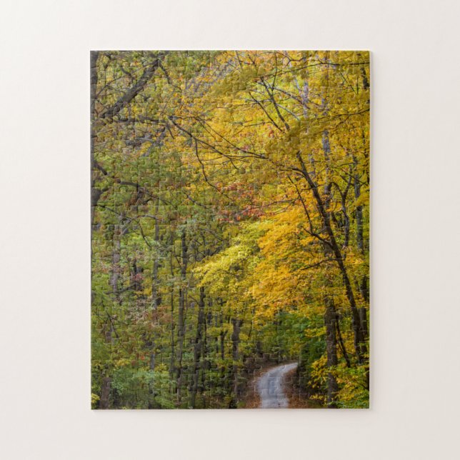 Puzzle Petite route de gravier bordée de couleurs d'autom (Vertical)