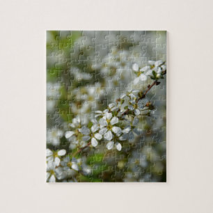 Puzzle Petites fleurs blanches