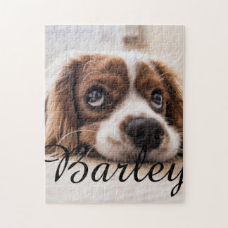 Puzzle Pet's Simple Modern Elegant Chic Name and Photo 