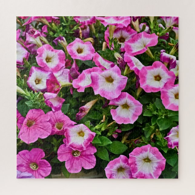 Puzzle Pétunias rose et violet (Vertical)