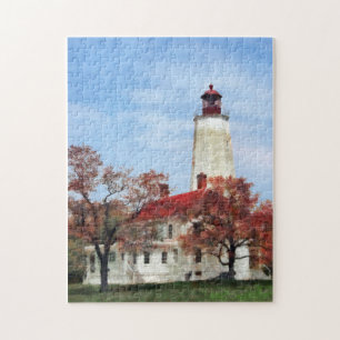Puzzle Phare de Sandy Hook