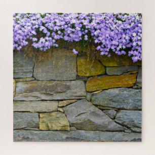 Puzzle Phlox violet et rochers