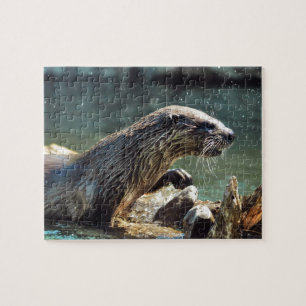 Puzzle Photo animalière de River Otter Animal-lover