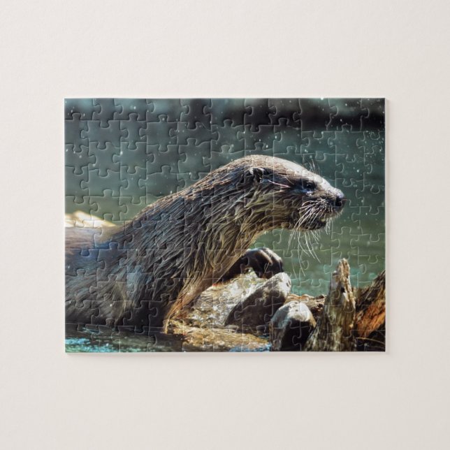 Puzzle Photo animalière de River Otter Animal-lover (Horizontal)