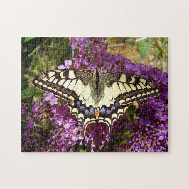 Puzzle photo avec boîte cadeau de papillon Swallow (Horizontal)