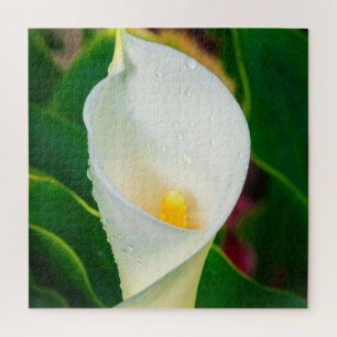 Puzzle Photo botanique macro du calla blanc Art de la nat
