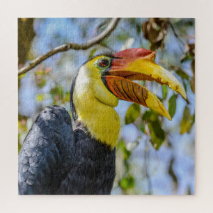 Puzzle Photo Closeup Rincé Hornbill Feuille Carré