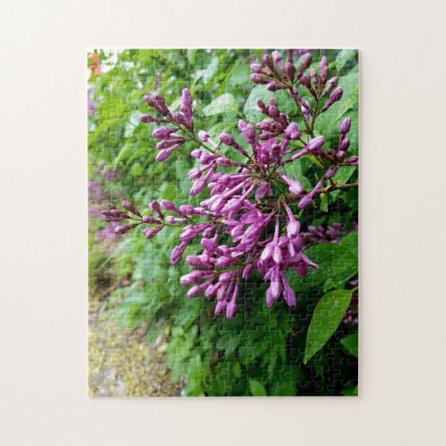 Puzzle photo créatif violet lilas (Vertical)