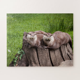Puzzle Photo d'animaux de la mignonne Eurasian Otter