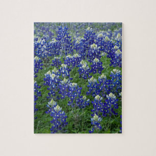 Puzzle Photo de champ de Bluebonnets de Texas