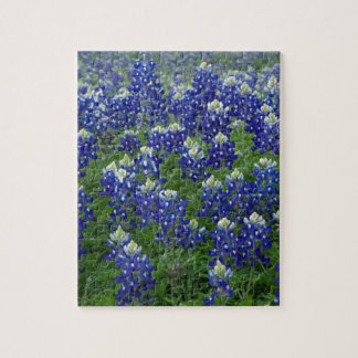 Puzzle Photo de champ de Bluebonnets de Texas