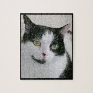 Puzzle Photo de chat noir blanc mignon