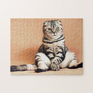 Puzzle Photo de chat pour animaux de compagnie