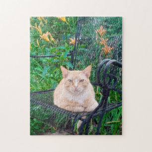 Puzzle Photo de chat tigré orange assis sur une chaise 
