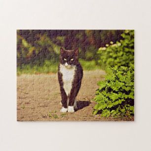 Puzzle Photo de chat Tuxedo noir et blanc