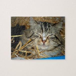 Puzzle Photo de chaton dormant