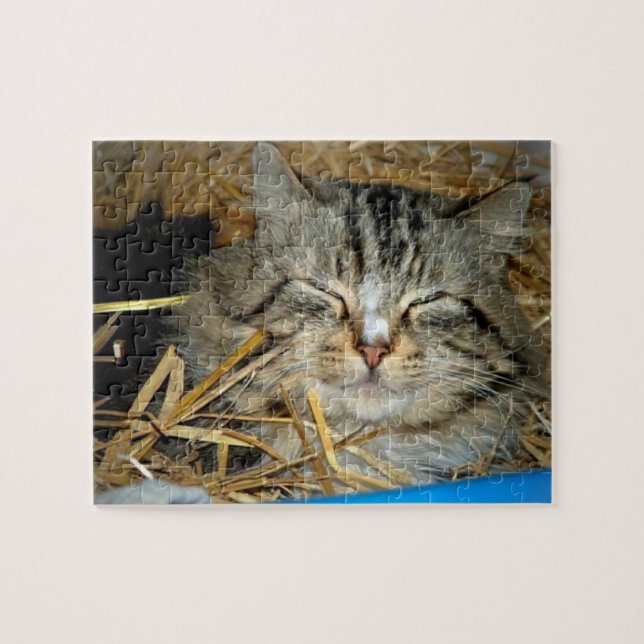 Puzzle Photo de chaton dormant  (Horizontal)