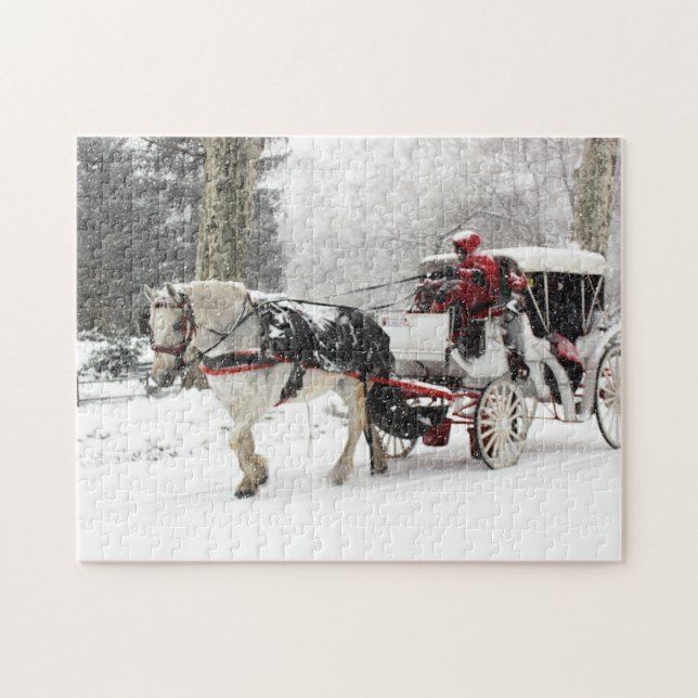 Puzzle Photo de cheval et de boguet en hiver de Central (Horizontal)